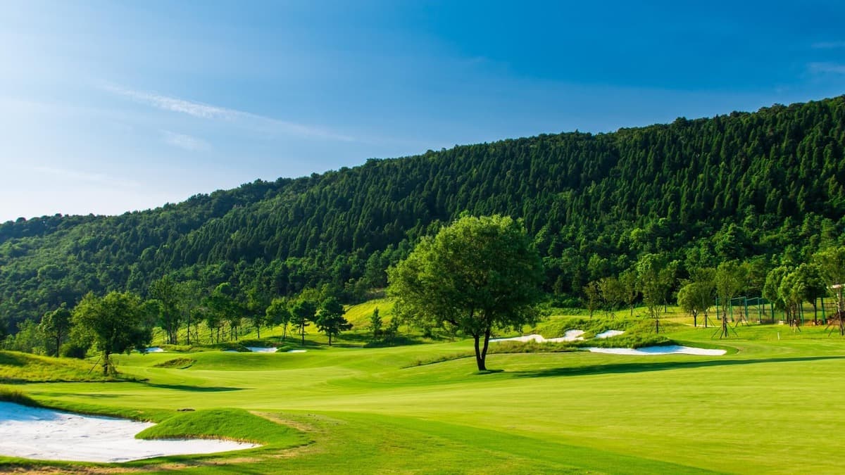 Golf Architects Past and Present